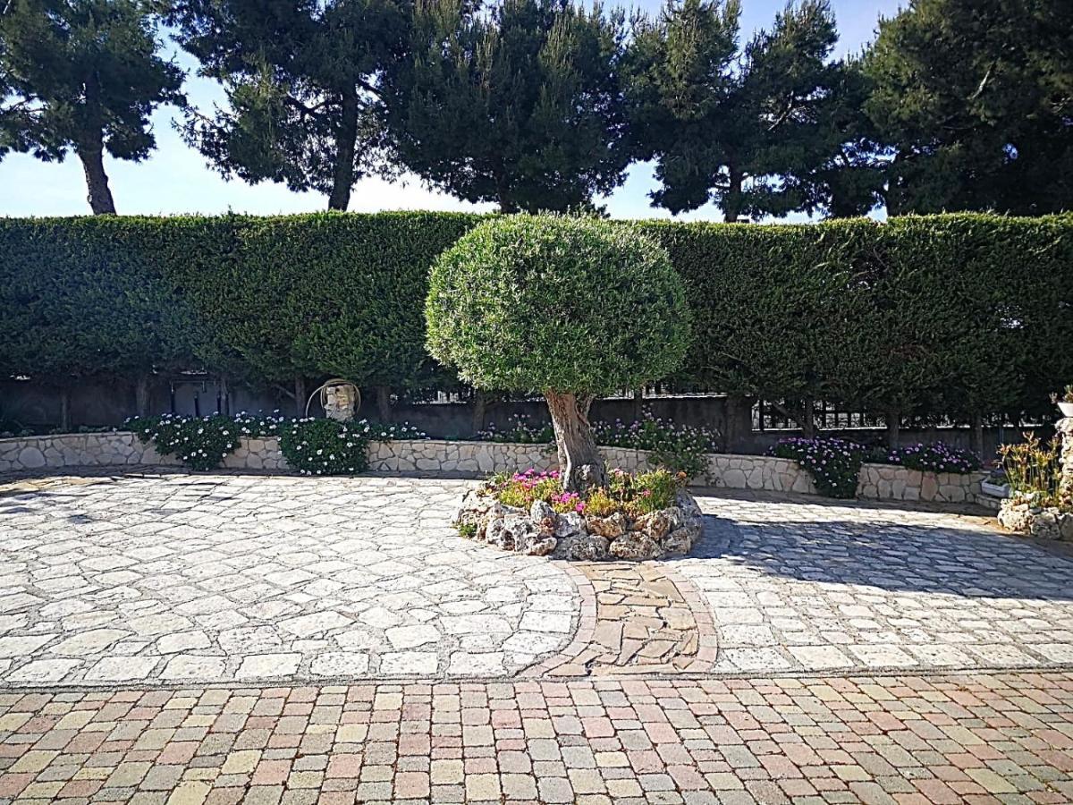 Villa Arenella Vieste Exterior photo